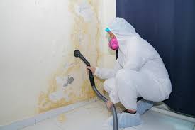 Best Real Estate Mold Inspection  in Scanlon, MN